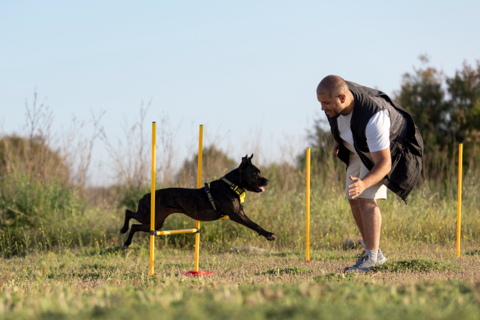 Dog Training - Benefits of Keeping your Dog in a Kennel
